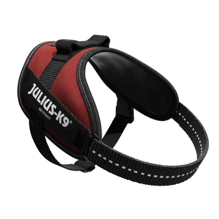 Julius-K9 IDC Powerharness in red, size 2, with reflective edging and the top control handle