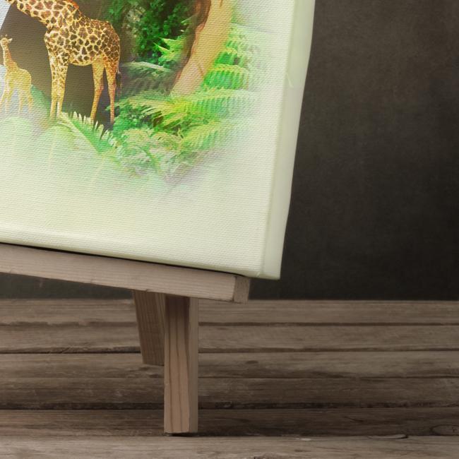 "Jungle Dream"