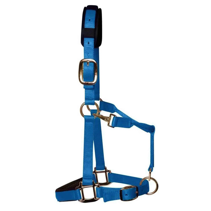 KM Elite padded nylon headcollar in baby blue, size Medium (Cob), with brass-coloured fittings