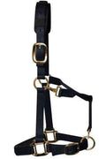 KM Elite padded headcollar in black, cob fitting, showing the padded nosepiece and brass-colour hardware