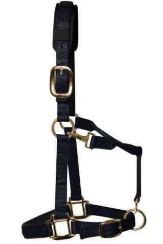 KM Elite padded headcollar in black, cob fitting, showing the padded nosepiece and brass-colour hardware