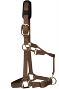 KM Elite padded headcollar in brown nylon webbing, showing the padded noseband and headpiece with brass-colour clips