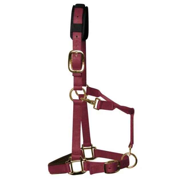 KM Elite padded nylon headcollar in burgundy, size Small (Large Pony), with brass-coloured clips