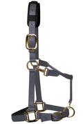 KM Elite padded headcollar in grey, cob fitting, showing the wide padded noseband and brass-colour buckle