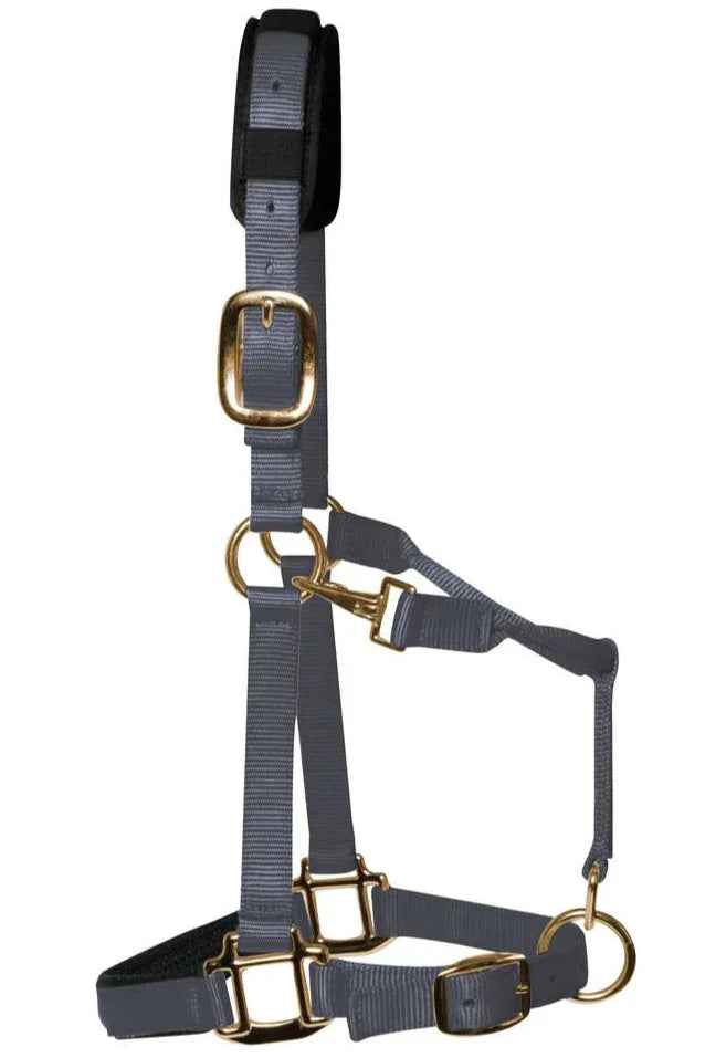 KM Elite padded headcollar in grey, cob fitting, showing the wide padded noseband and brass-colour buckle