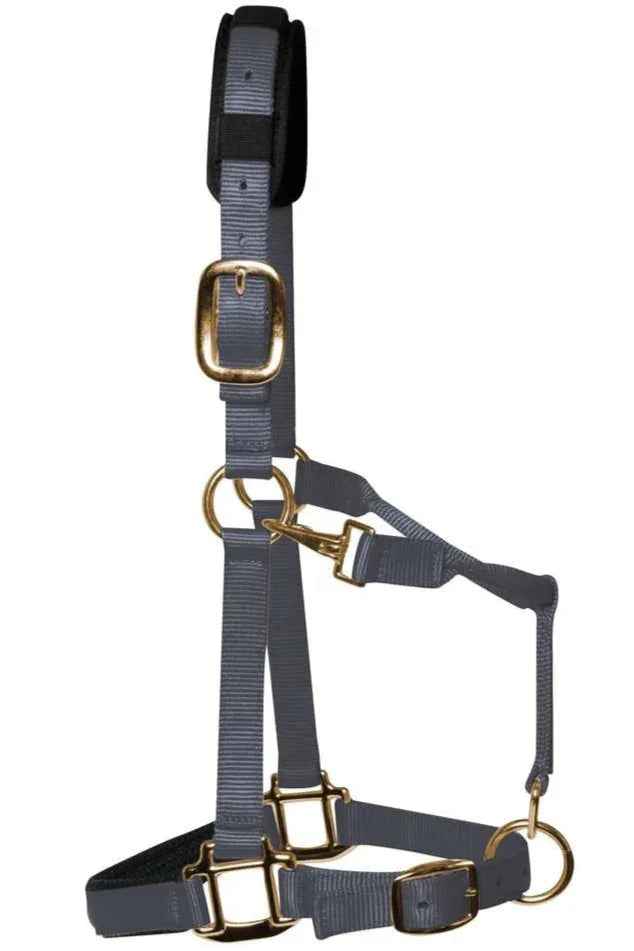 KM Elite padded headcollar in grey, full size, with padded headpiece and brass-colour throat clip
