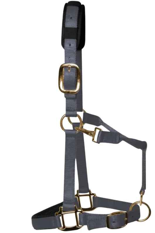 KM Elite padded headcollar in grey, showing padded noseband and headpiece with brass-colour clips