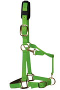 KM Elite padded headcollar in bright hot green, pony size, with padded noseband and brass-colour fittings