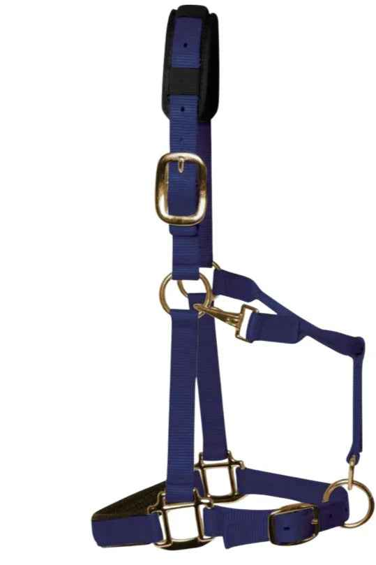 KM Elite padded headcollar in navy nylon, showing the padded noseband and brass-colour clips
