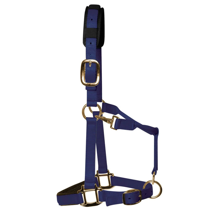 KM Elite padded headcollar in navy blue, XL XFull size, with padded noseband and brass-colour clips