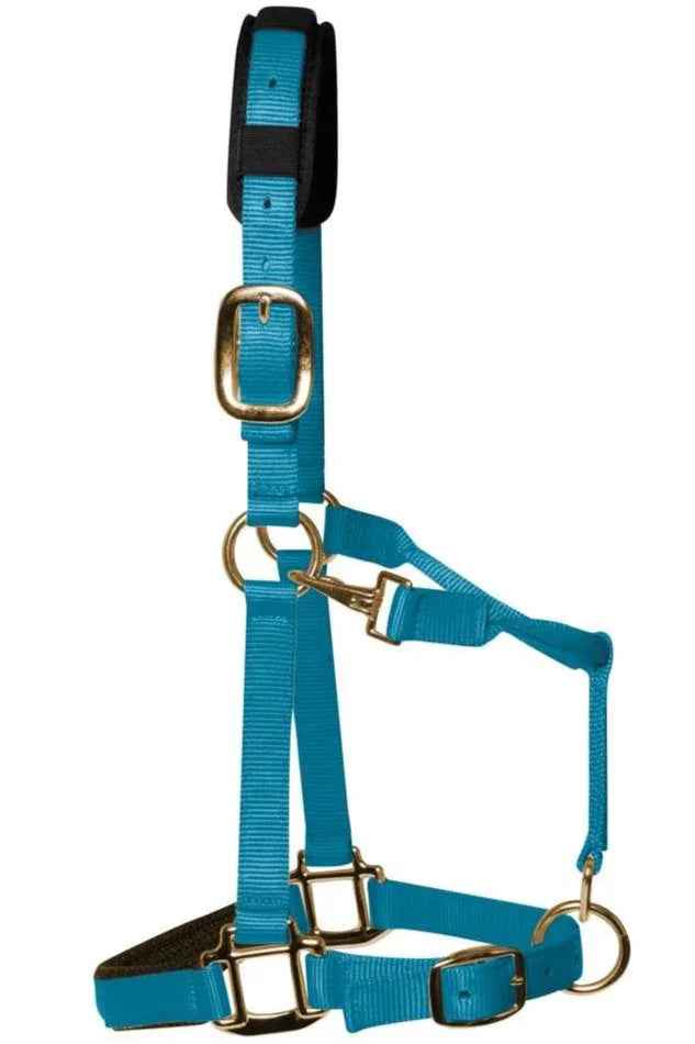 KM Elite padded headcollar in pastel blue nylon webbing with brass-colour fittings