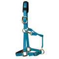 KM Elite padded headcollar in pastel blue, Medium Cob size, showing padded noseband and brass-colour fittings