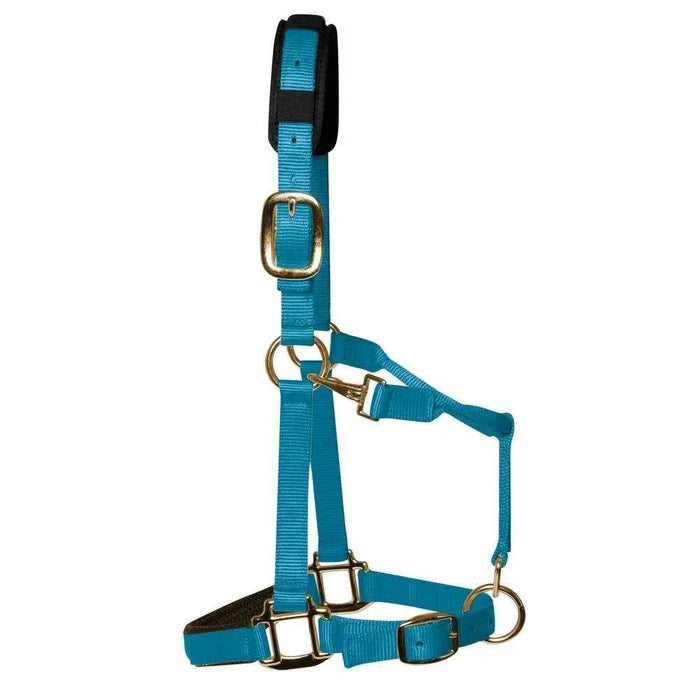 KM Elite padded headcollar in pastel blue, Medium Cob size, showing padded noseband and brass-colour fittings