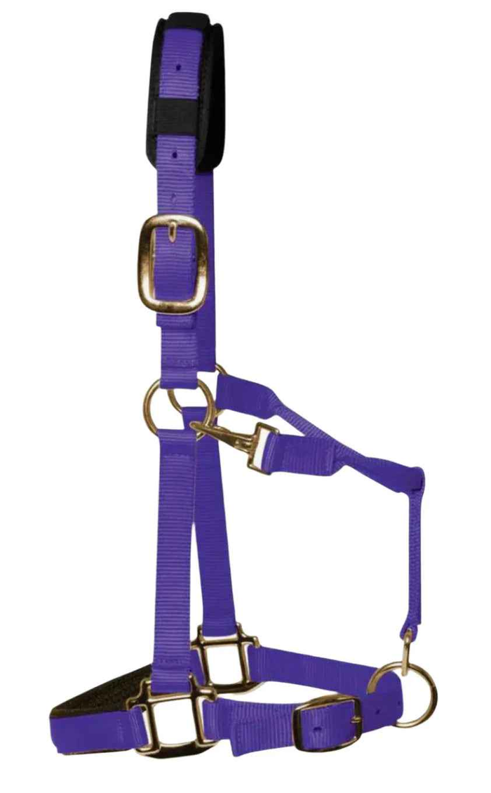 KM Elite padded headcollar in purple, showing the padded noseband and headpiece with brass-colour clips and throat clip