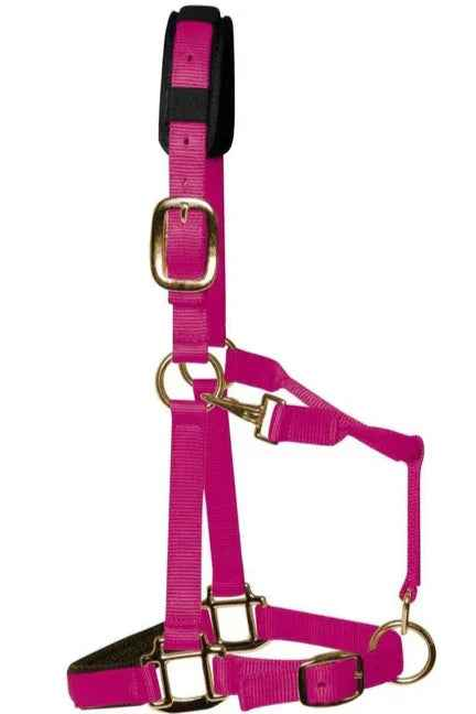KM Elite padded headcollar in raspberry pink nylon with brass-colour clips