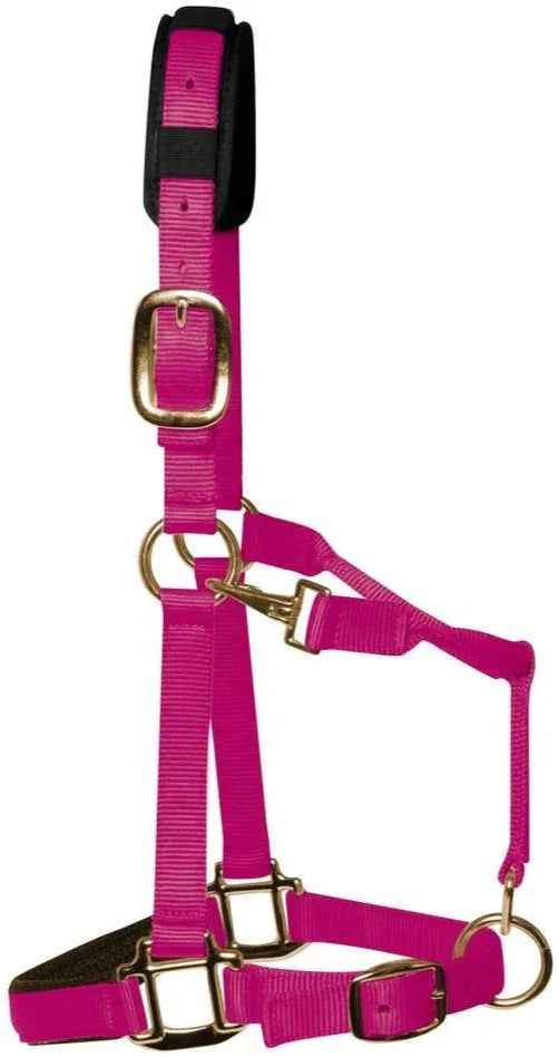 KM Elite padded headcollar in raspberry pink, Medium Cob size, with padded noseband and brass-colour hardware