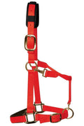 KM Elite padded headcollar in red nylon webbing with brass-colour clips and throat lash clip