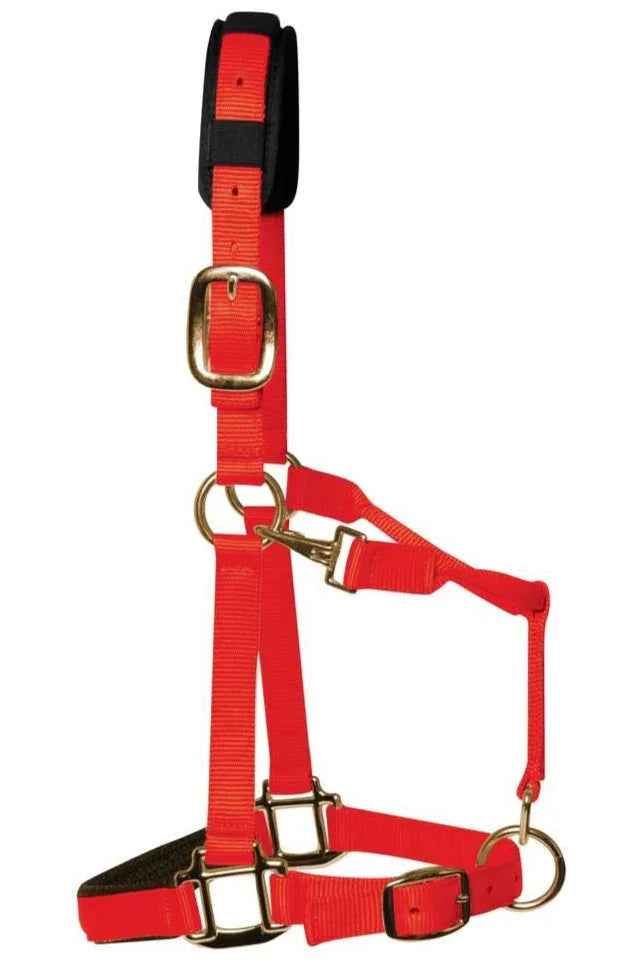 KM Elite padded headcollar in red nylon webbing with brass-colour clips and throat lash clip