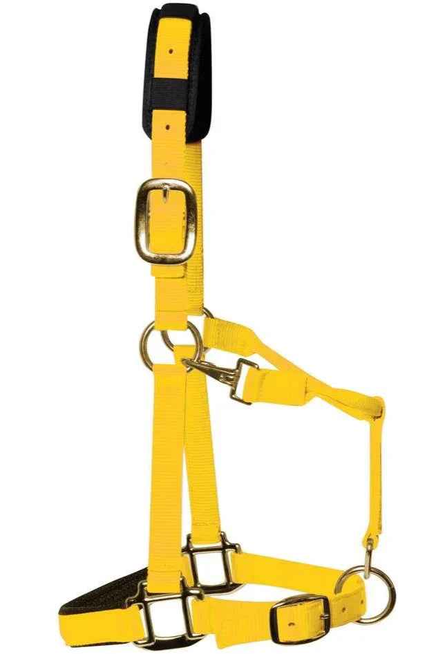 Yellow KM Elite padded nylon headcollar showing the padded headpiece and brass-colour clips