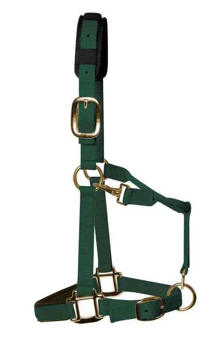 KM Elite luxury padded headcollar in hunter green nylon with brass-colour clips