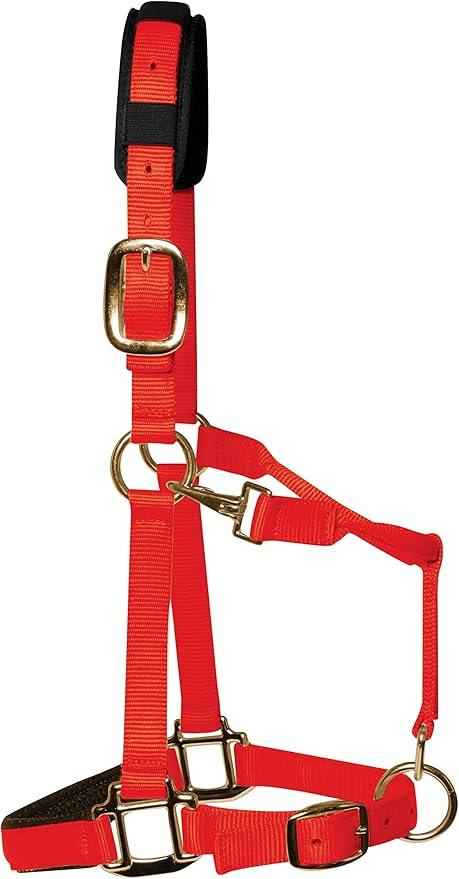 KM Elite luxury padded headcollar in red with padded noseband and brass-colour throat lash clip