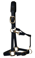 KM Elite luxury padded headcollar in black nylon with brass-colour clips and padded nosepiece