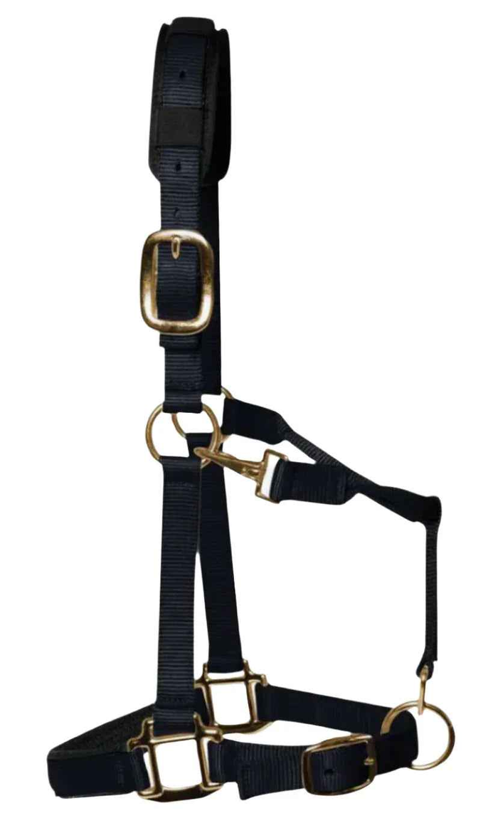 KM Elite luxury padded headcollar in black nylon with brass-colour clips and padded nosepiece