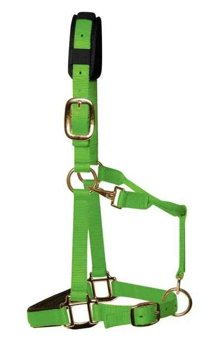 KM Elite luxury padded headcollar in lime green nylon webbing with brass-colour clips