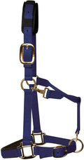 KM Elite luxury padded headcollar in navy blue with a padded noseband and brass-colour clips