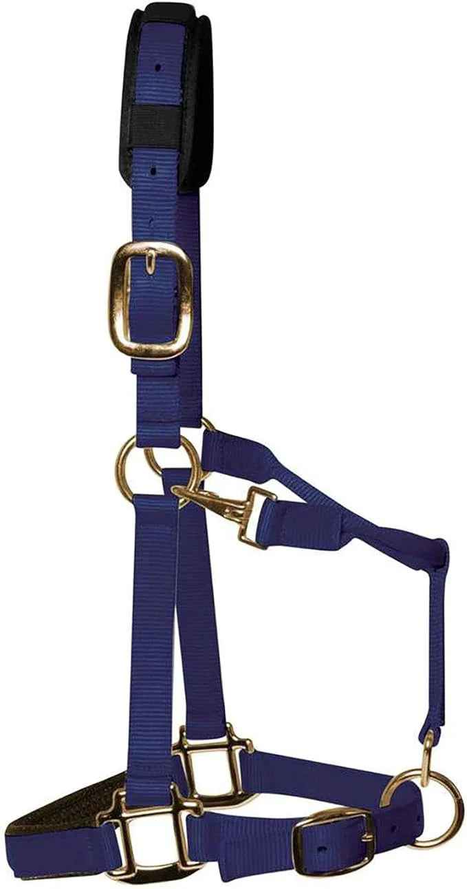 KM Elite luxury padded headcollar in navy blue with a padded noseband and brass-colour clips