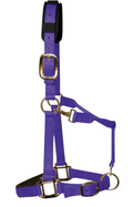 KM Elite luxury padded headcollar in purple nylon with brass-colour clips and throat lash clip