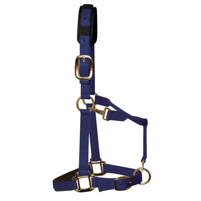 KM Elite padded headcollar in navy blue, XXXS Shetland size, shown with padded noseband and brass-colour hardware