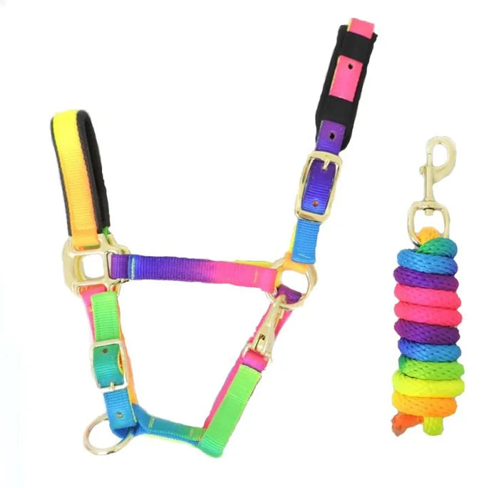 KM Elite rainbow multicoloured webbing headcollar with a matching rainbow lead rope, sold as a set