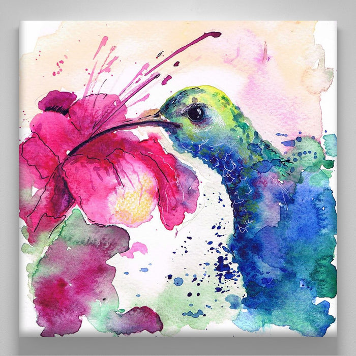 "Kolibri"