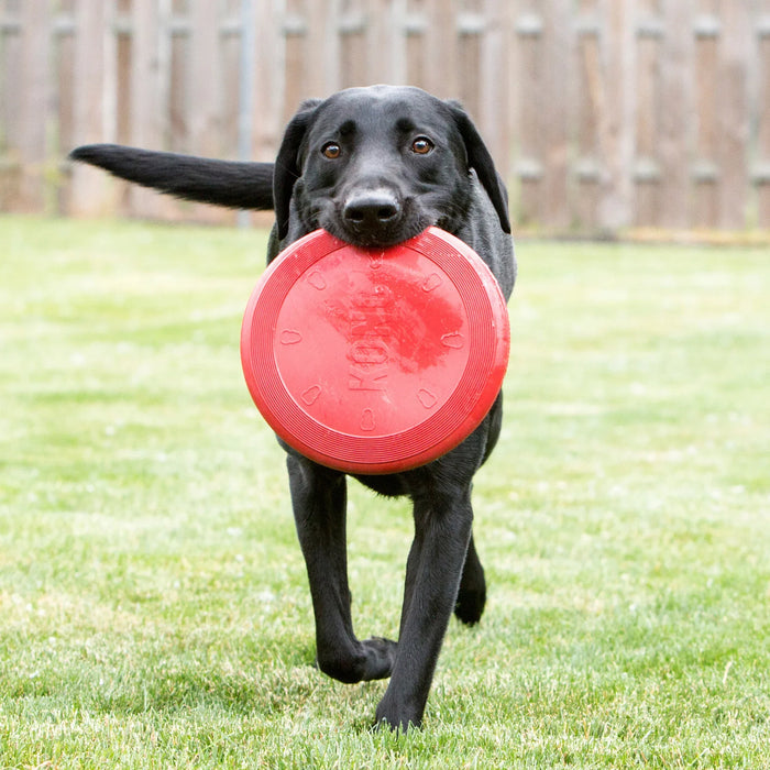 Side profile of the small red KONG Flyer showing the raised, flexible rim