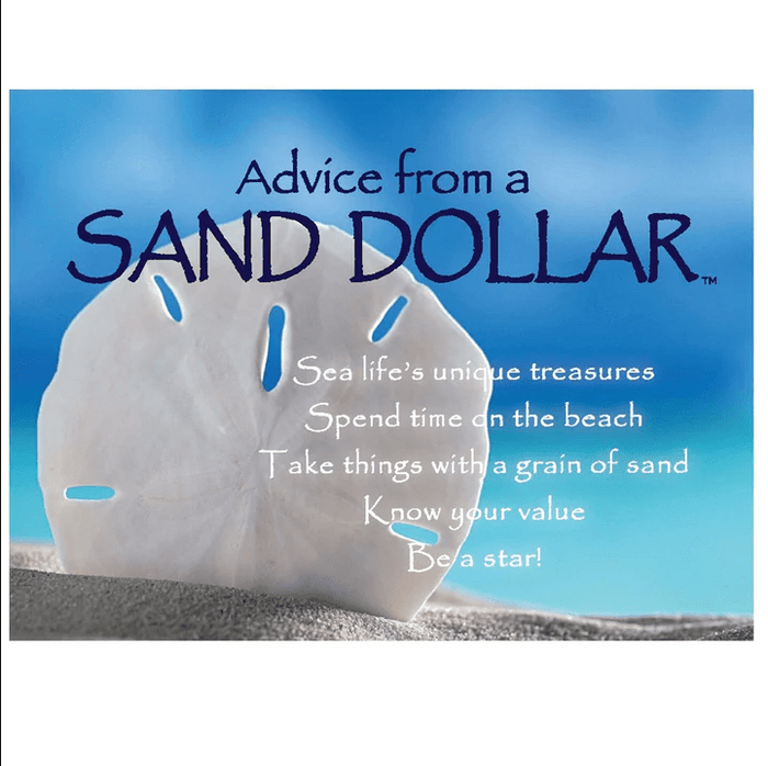 Magnet - Advice From a Sand Dollar