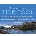 Magnet - Advice From a Tide Pool