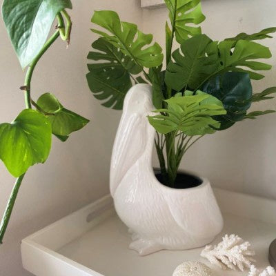 Pelican Planter White