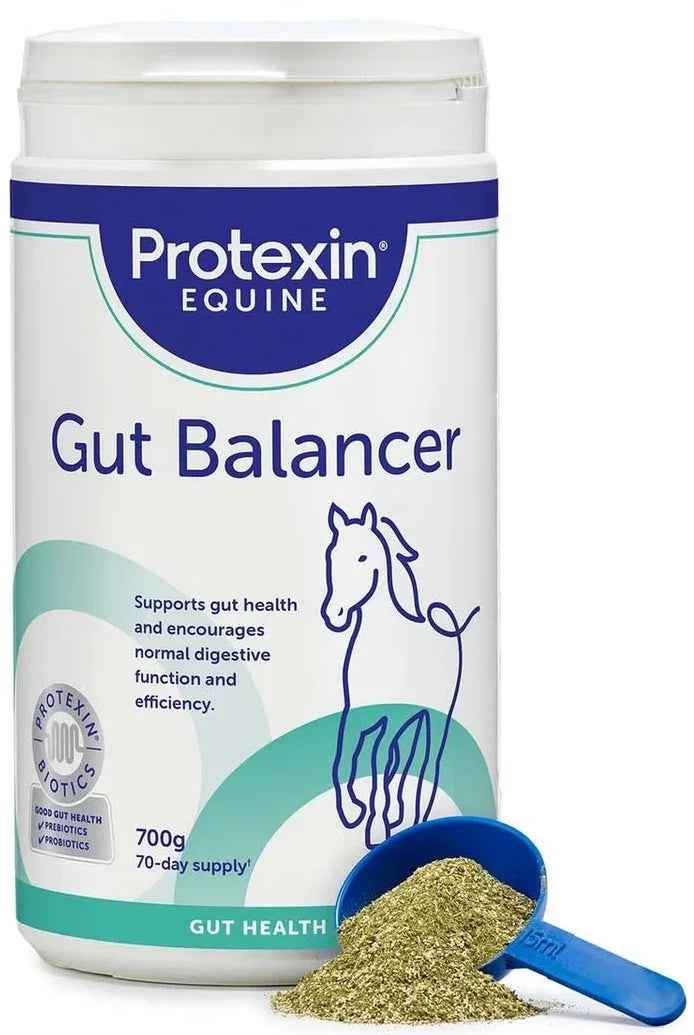 Protexin Equine Premium Gut Balancer 700g tub of probiotic and prebiotic powder for horses