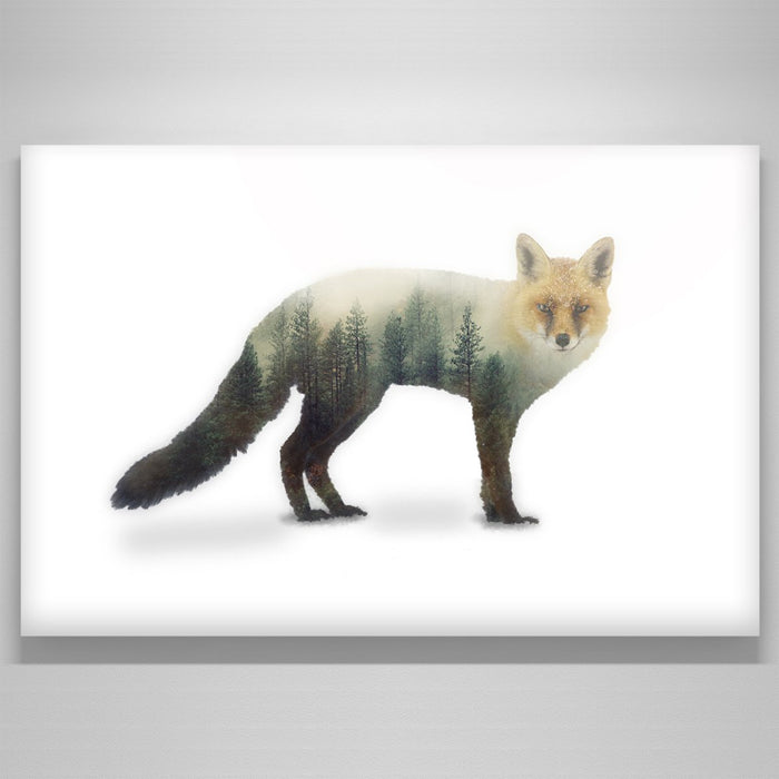 "Red Fox"