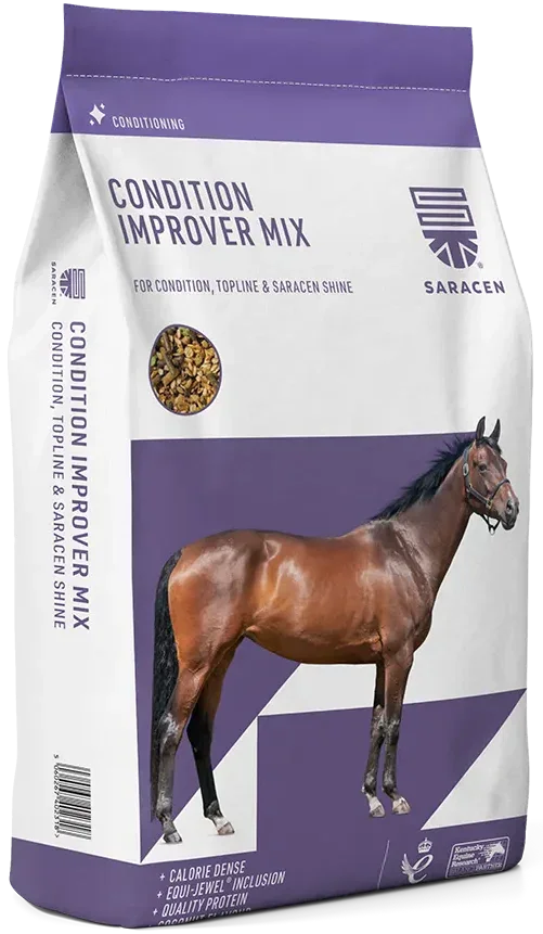Saracen Condition-Improver Mix 20kg bag, oat-free conditioning feed for horses needing to gain weight