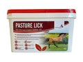 Saracen Pasture Lick 20kg mineral and vitamin block for horses and ponies at grass