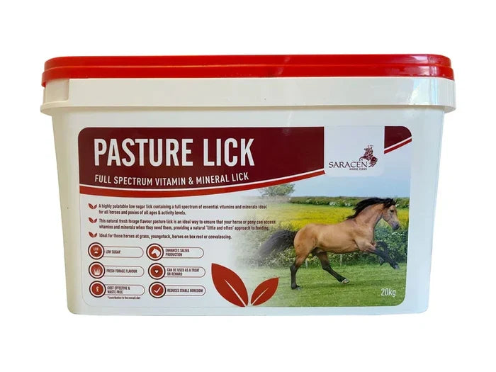 Saracen Pasture Lick 20kg mineral and vitamin block for horses and ponies at grass