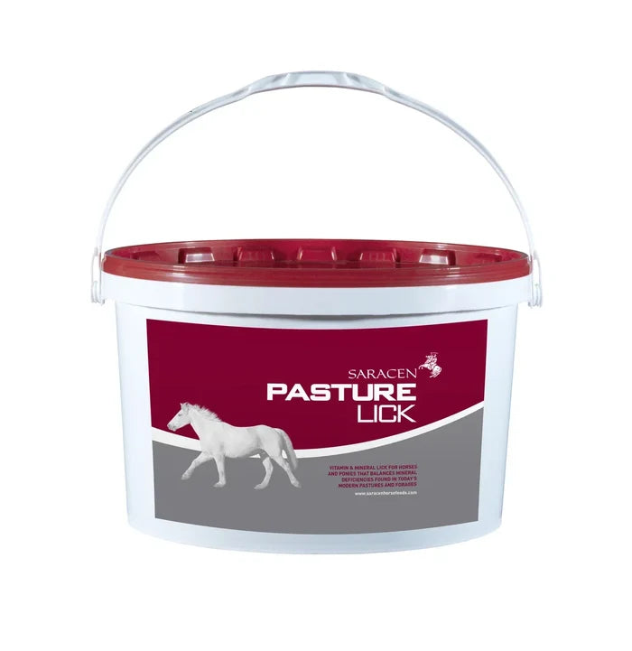Additional view of the Saracen Pasture-Lick 10kg block for forage-fed horses and ponies