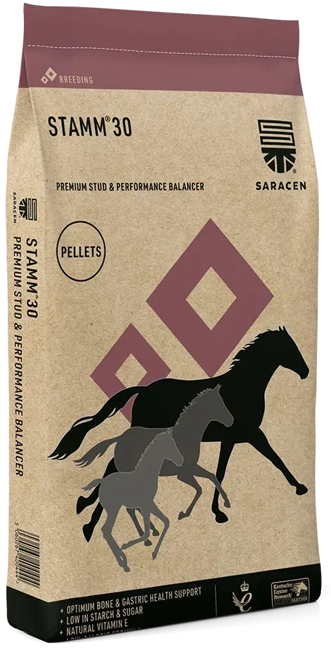 Saracen Stamm 30 20kg sack of concentrated stud and performance balancer for breeding horses