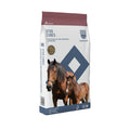 Saracen Stud Cubes 20kg, a fortified cube for broodmares, stallions and youngstock