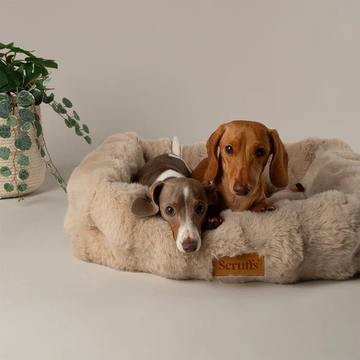 Close view of the Scruffs Alpine champagne box bed showing the stitched bolster and long faux fur pile