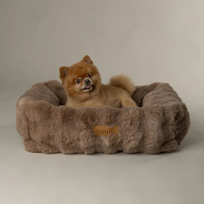 Overhead view of the Scruffs Alpine taupe box bed showing the round sleeping area and bolster