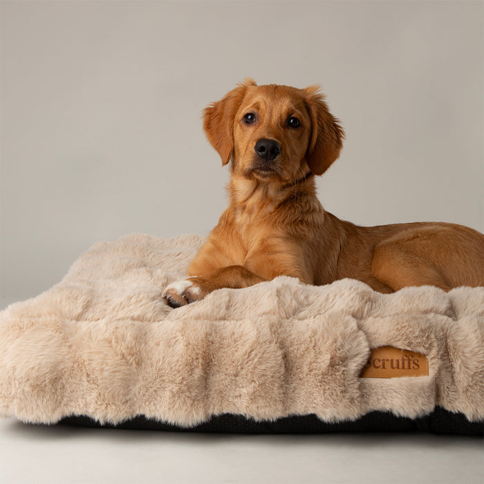 Second view of the extra large Scruffs Alpine faux fur mattress in champagne