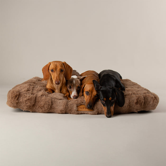 Fourth view of the Scruffs Alpine mattress in taupe, large size with a non-slip base